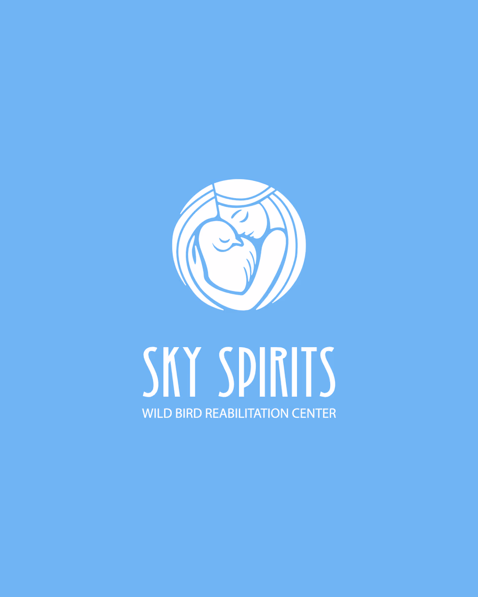Sky Spirit presentation