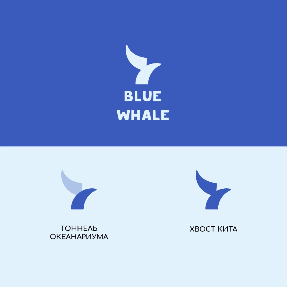Blue whale presentation