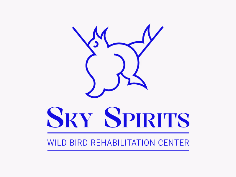 SKY SPIRITS