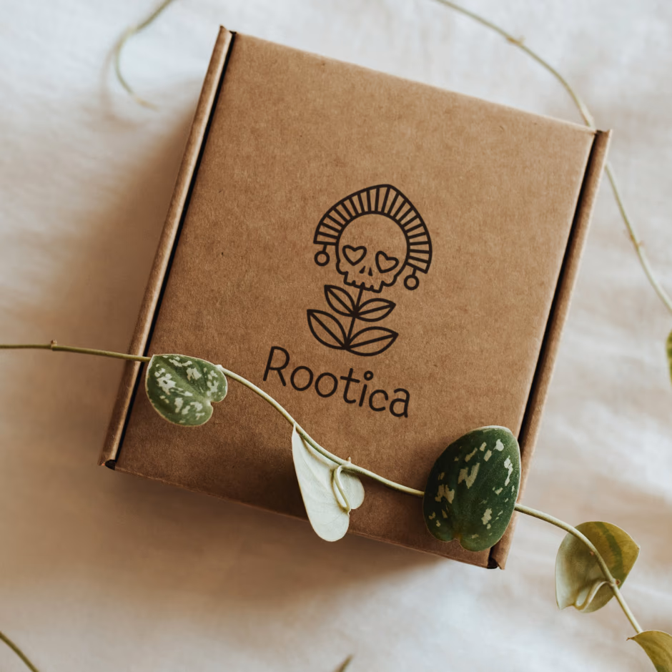 ROOTICA presentation