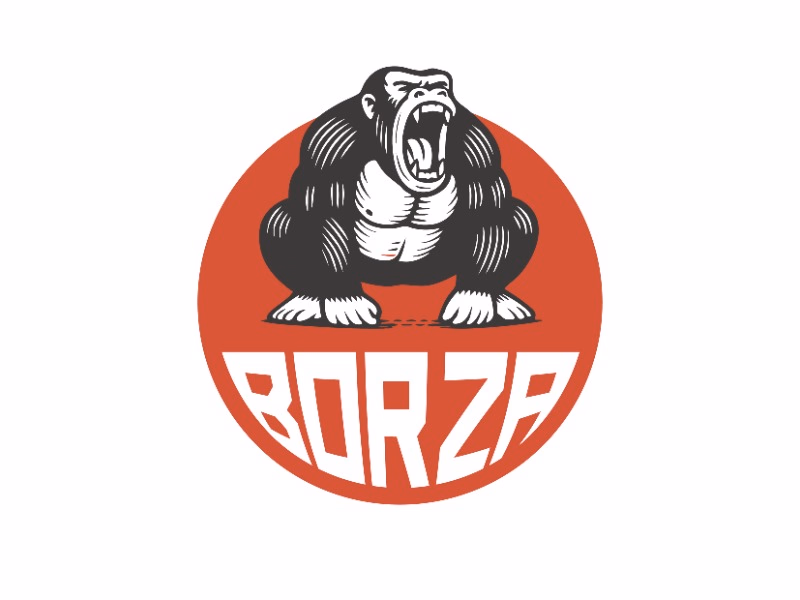Borza