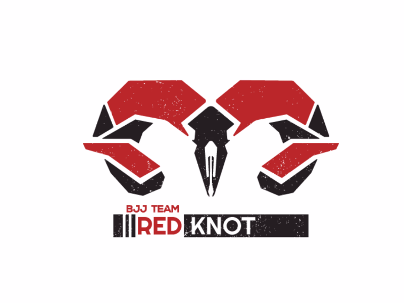Red Knot
