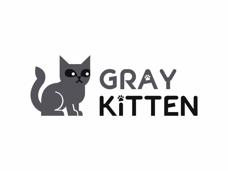 Gray Kitten