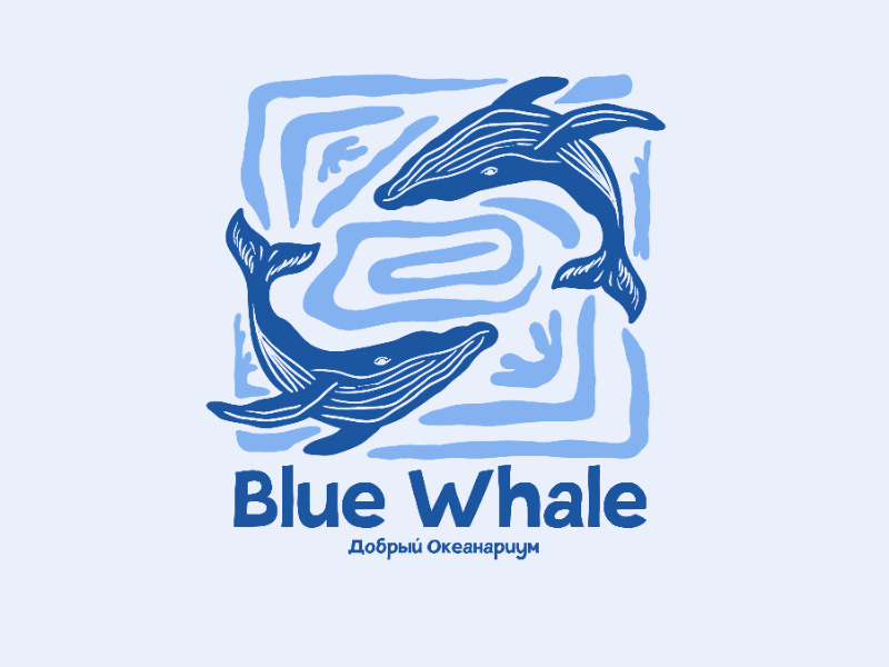 Blue Whake