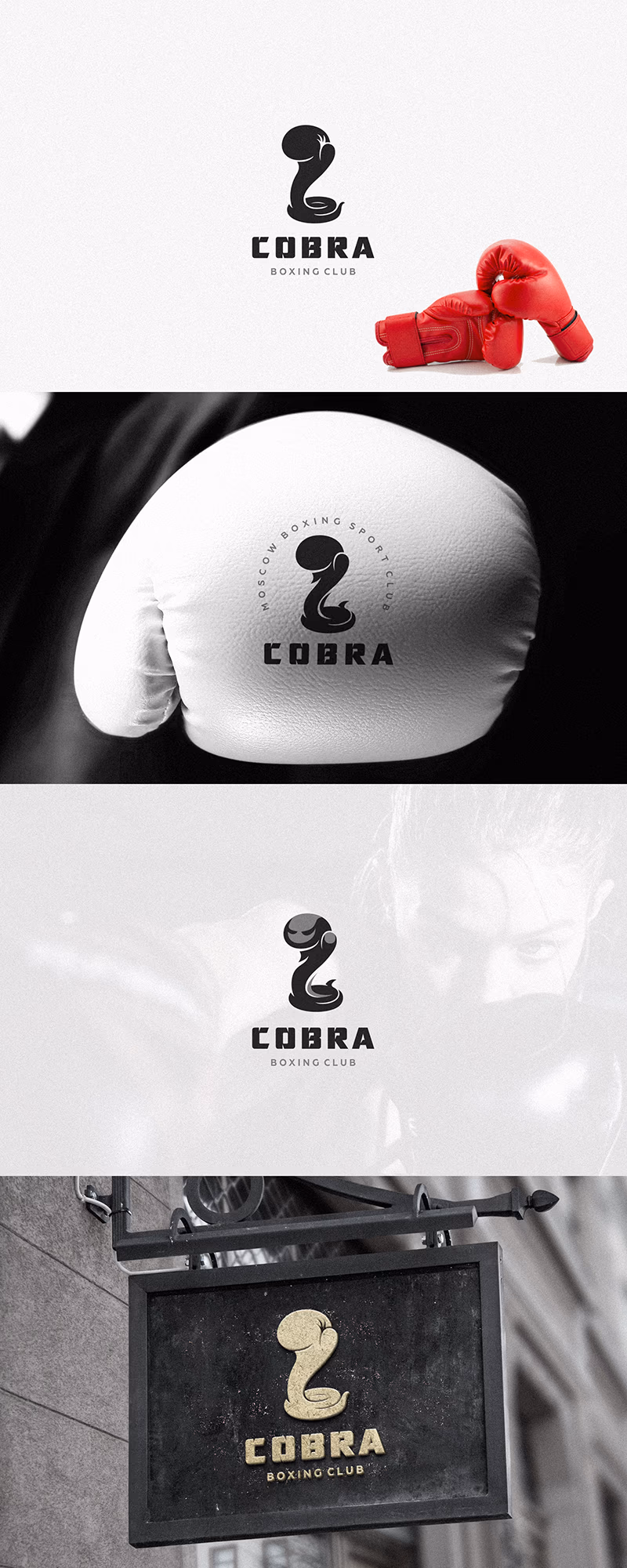 Cobra presentation