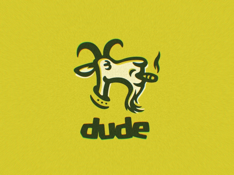 Dude