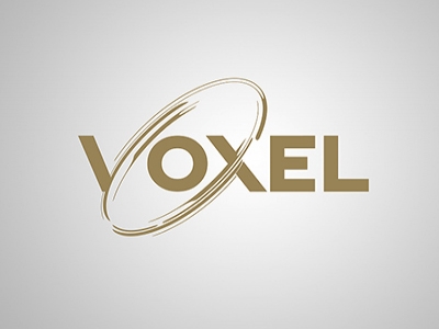 Voxel