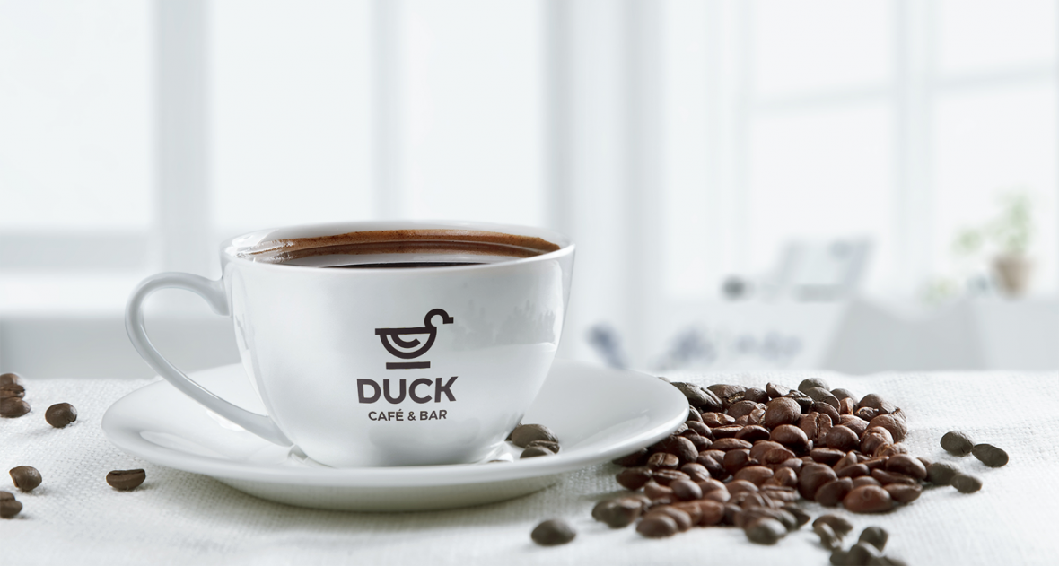 Duck presentation