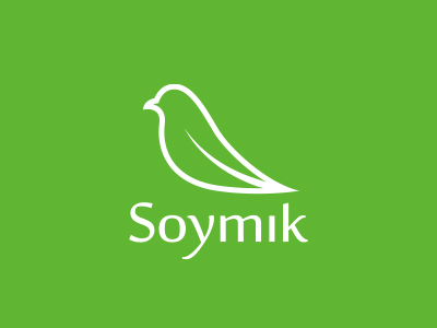 Soymik