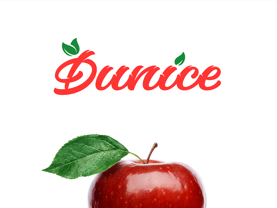 Dunice presentation