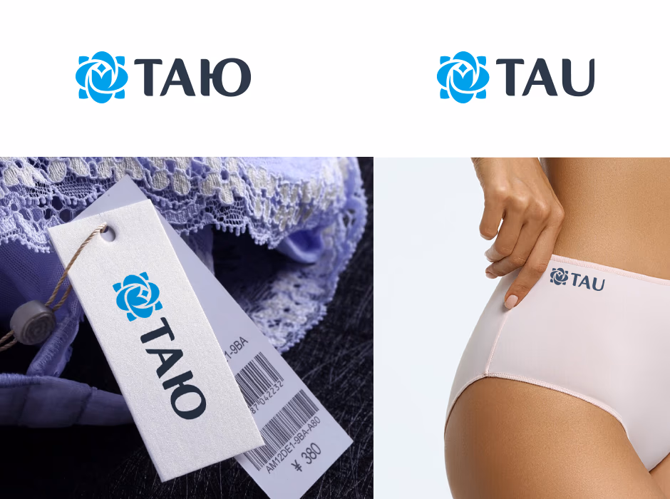 ТАЮ presentation