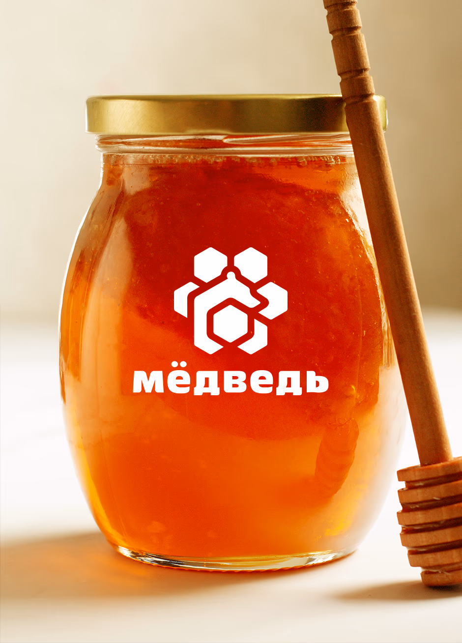 МЕДведь presentation