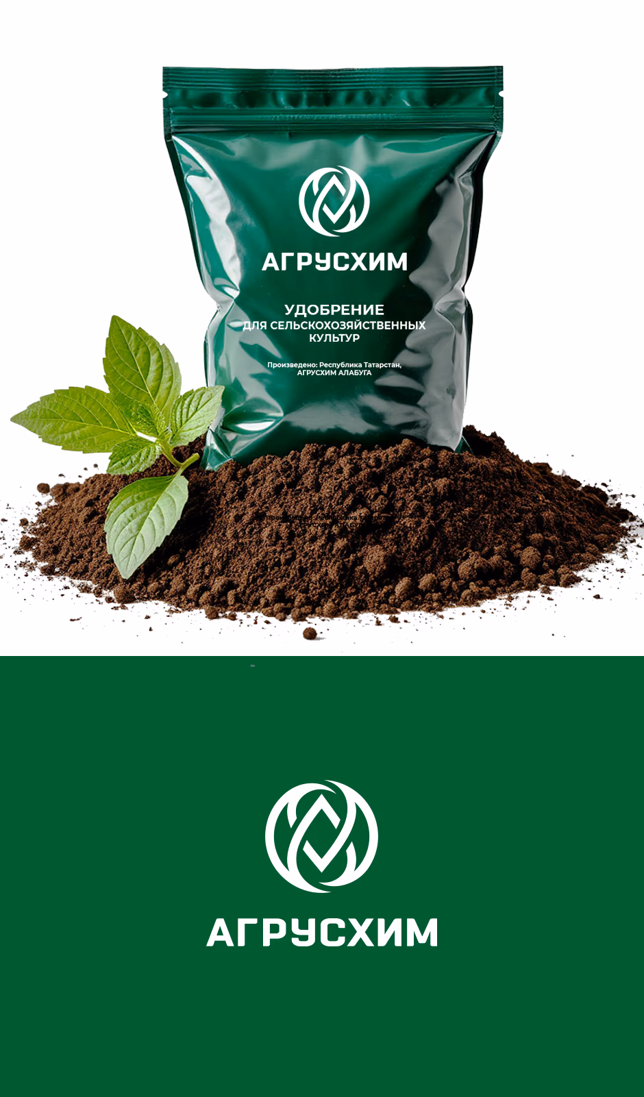 АГУСХИМ presentation