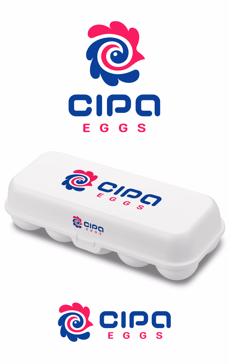 CIPA presentation