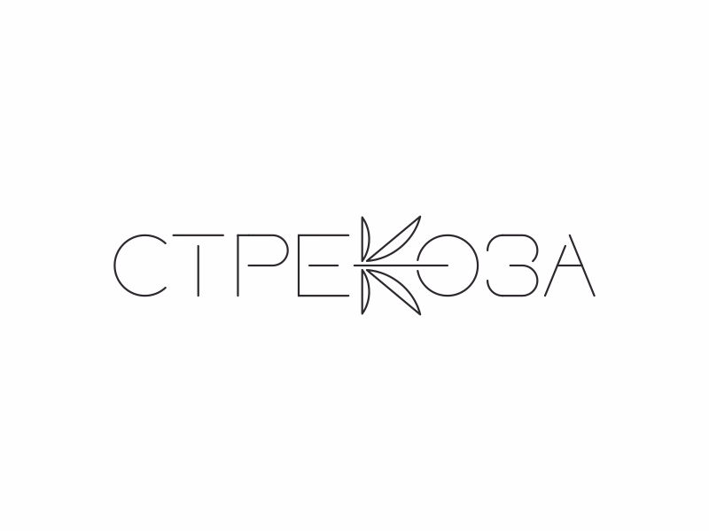 Стрекоза