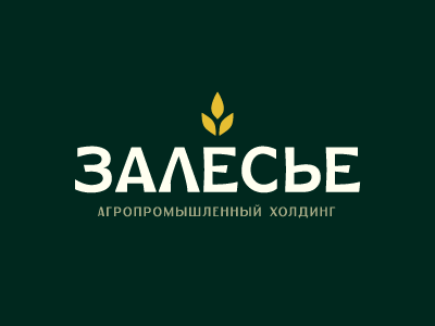 Залесье