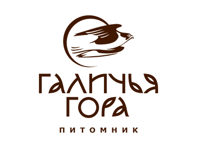 Галичья гора