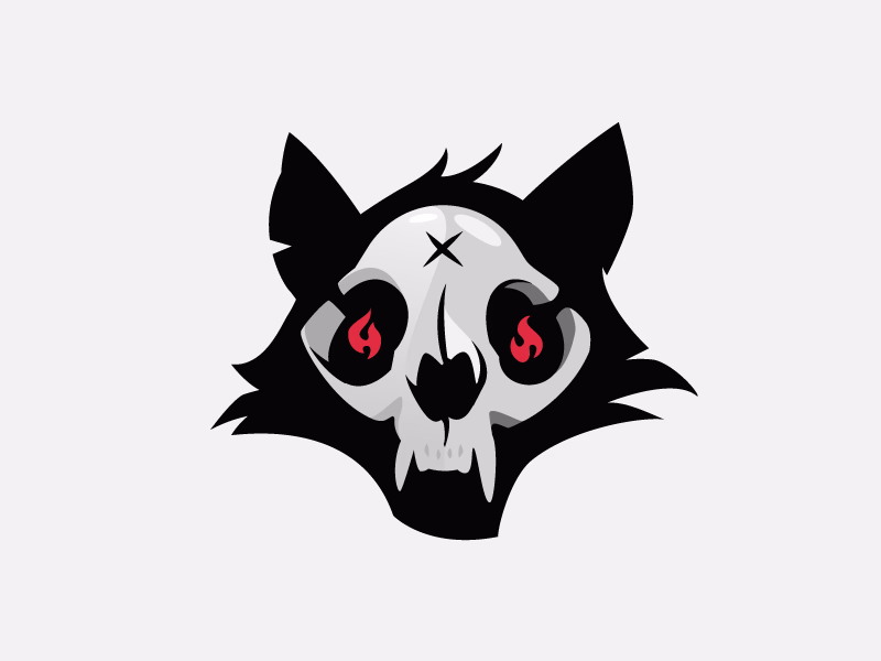 the cat