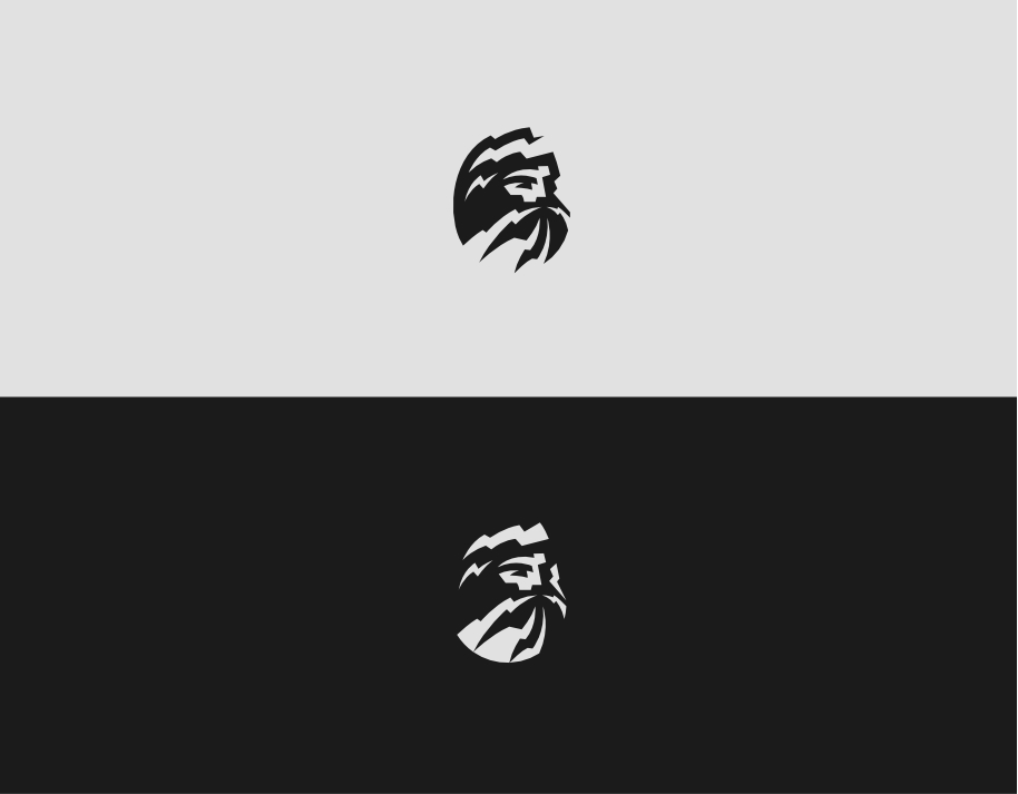 ZEUS presentation