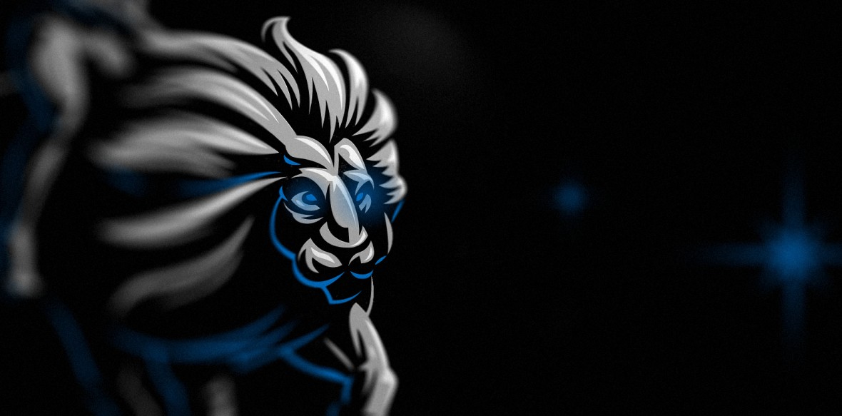 Leo presentation