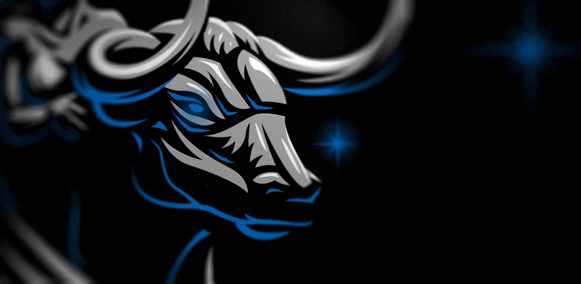 Taurus presentation