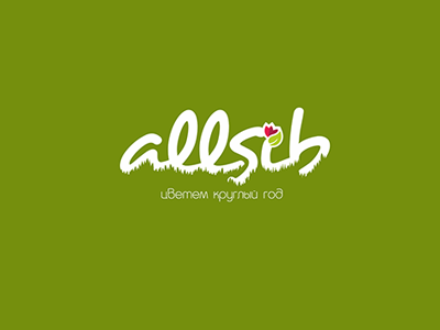 allsib