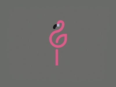 flamingo