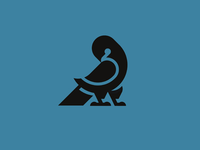 pigeon9