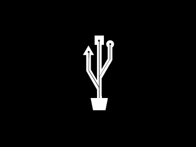 plant in a pot