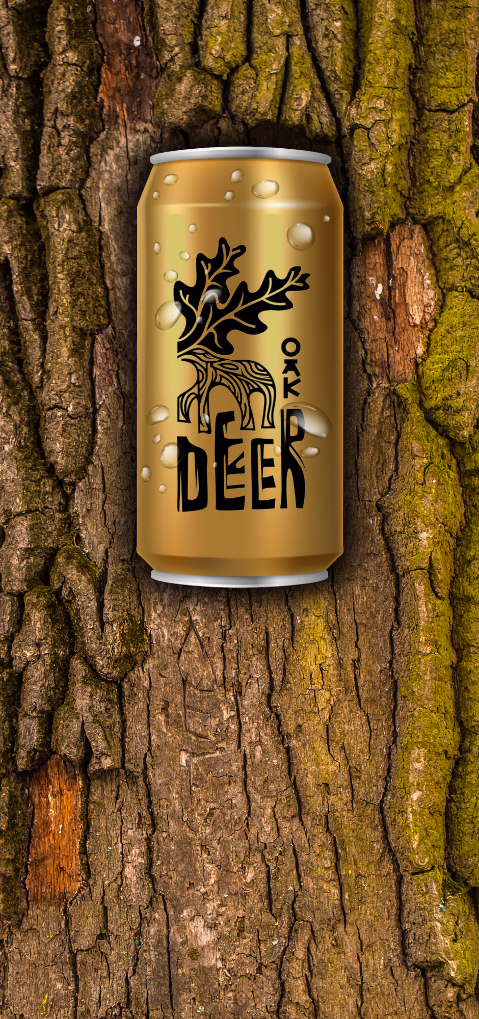 OAK DEER presentation
