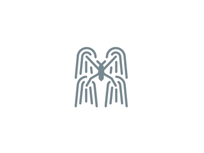 gerridae