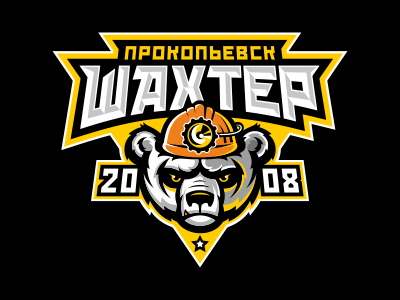 Шахтер 2008