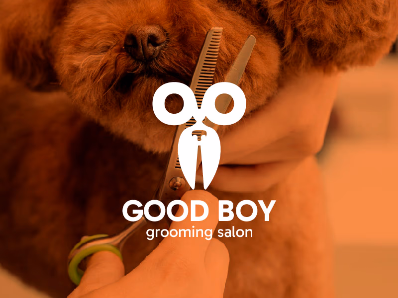 Good Boy presentation