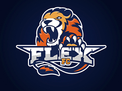 ФК Flex