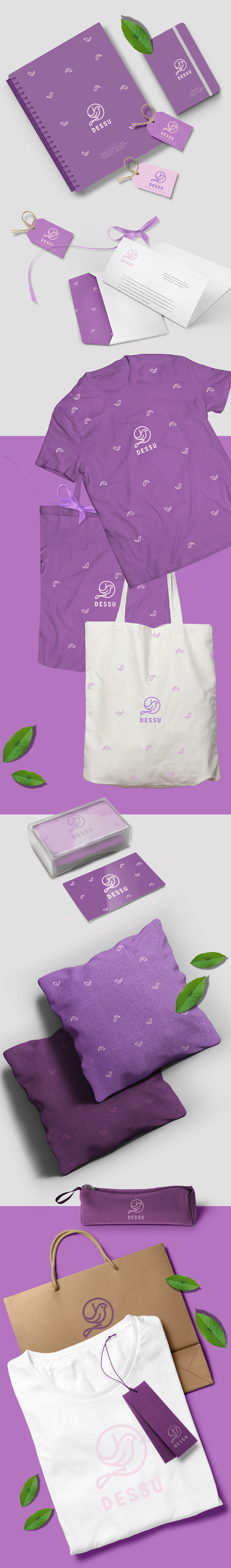 DESSU presentation