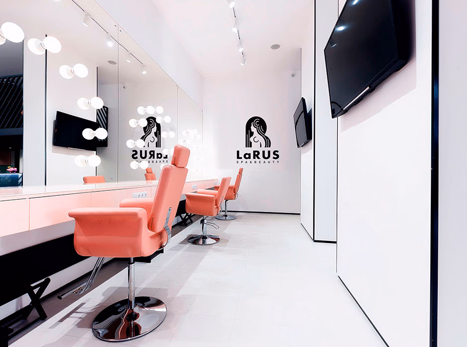 LaRus presentation