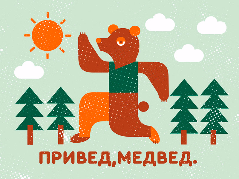 Медведь shot