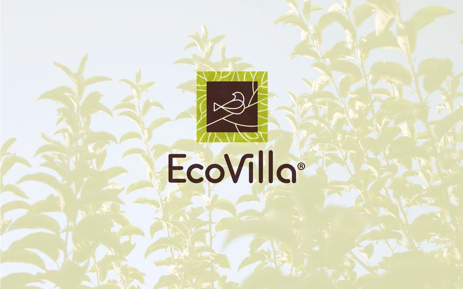 EcoVilla presentation