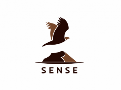 SENSE