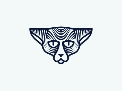 Кот