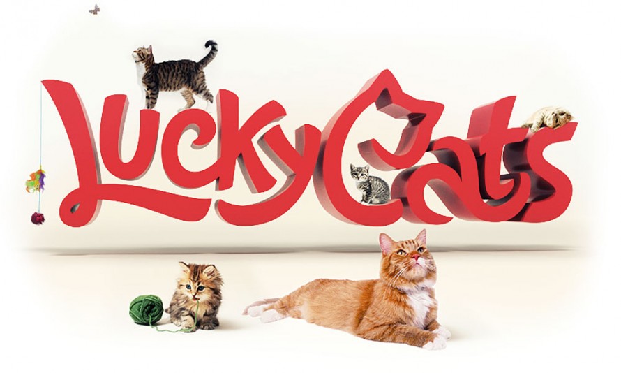 LuckyCats presentation