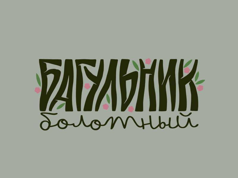 Багульник