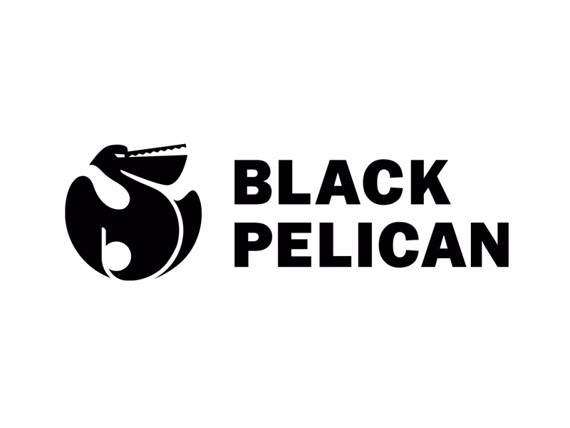 Black Pelican